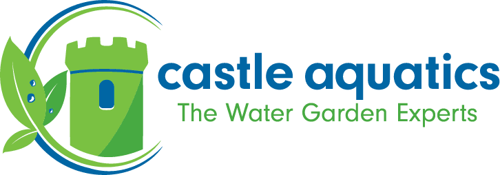 Castle Aquatics